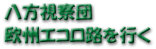 八方視察団 欧州エコロ路を行く