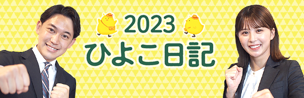 ひよこ2023