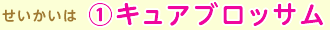 ́i1jLAubT