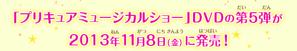 uvLA~[WJV[vDVD̑Te2013N11W()ɔI