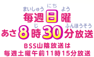 TjW30@BSSRA͖TyjߑO1115