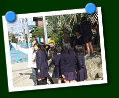 写真(みどりの授業)