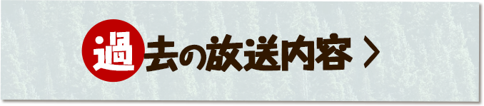 過去の放送内容